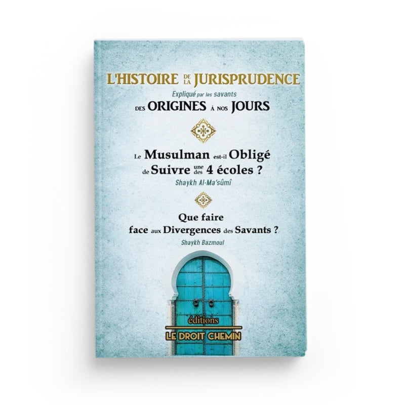 L’Histoire De La Jurisprudence – Des Origines À Nos Jours