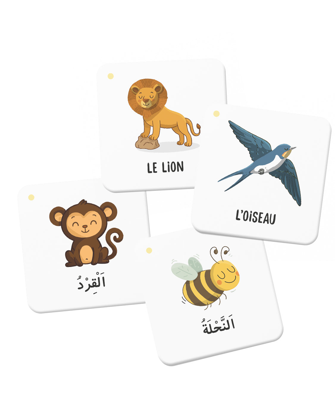 Mémo Des Animaux Du Coran – Deenilearn