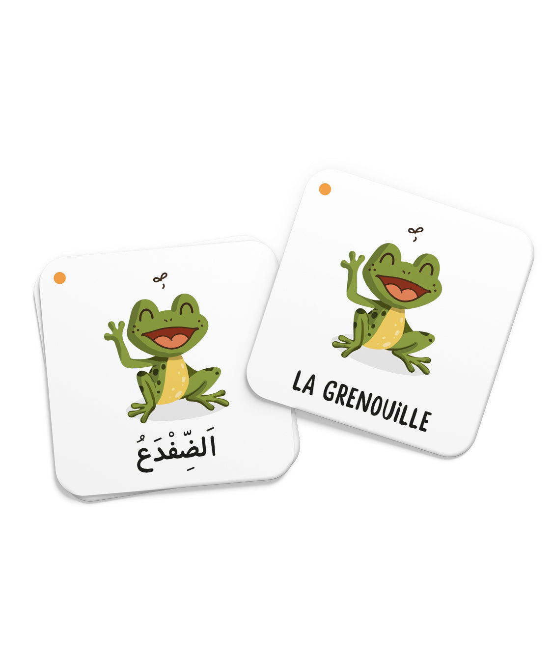 Mémo Des Animaux Du Coran – Deenilearn