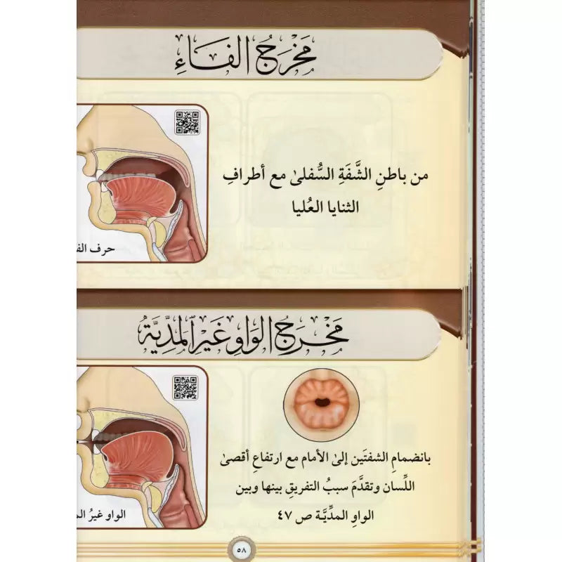 At-Tajwîd al-Moussawar (Arabe) – Dr Ayman Soueid