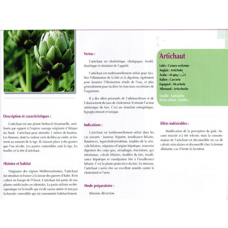 Plantes Médicinales De Méditerranée Et D'Orient - Dr. Mahboubi Moussaoui - Éditions Sabil - Librairie Al Minhaj