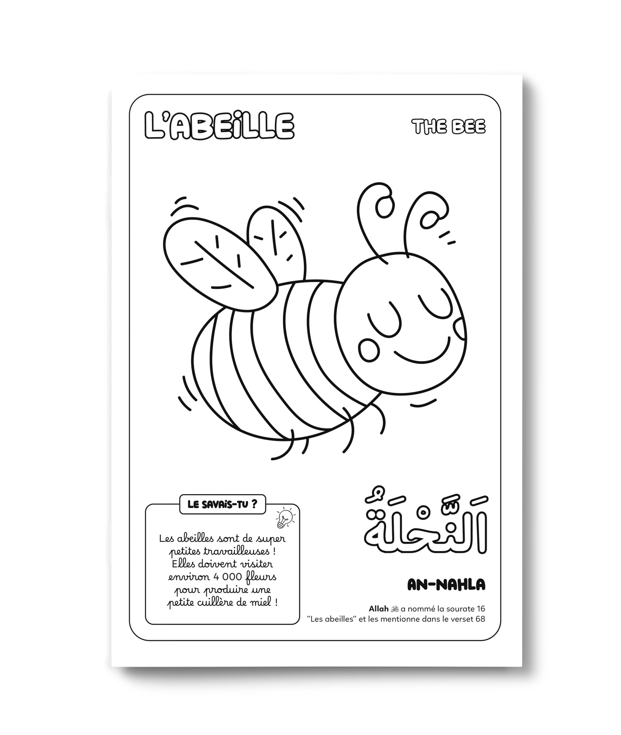 Colorie et Apprends – Les 30 Animaux du Coran – Deenilearn