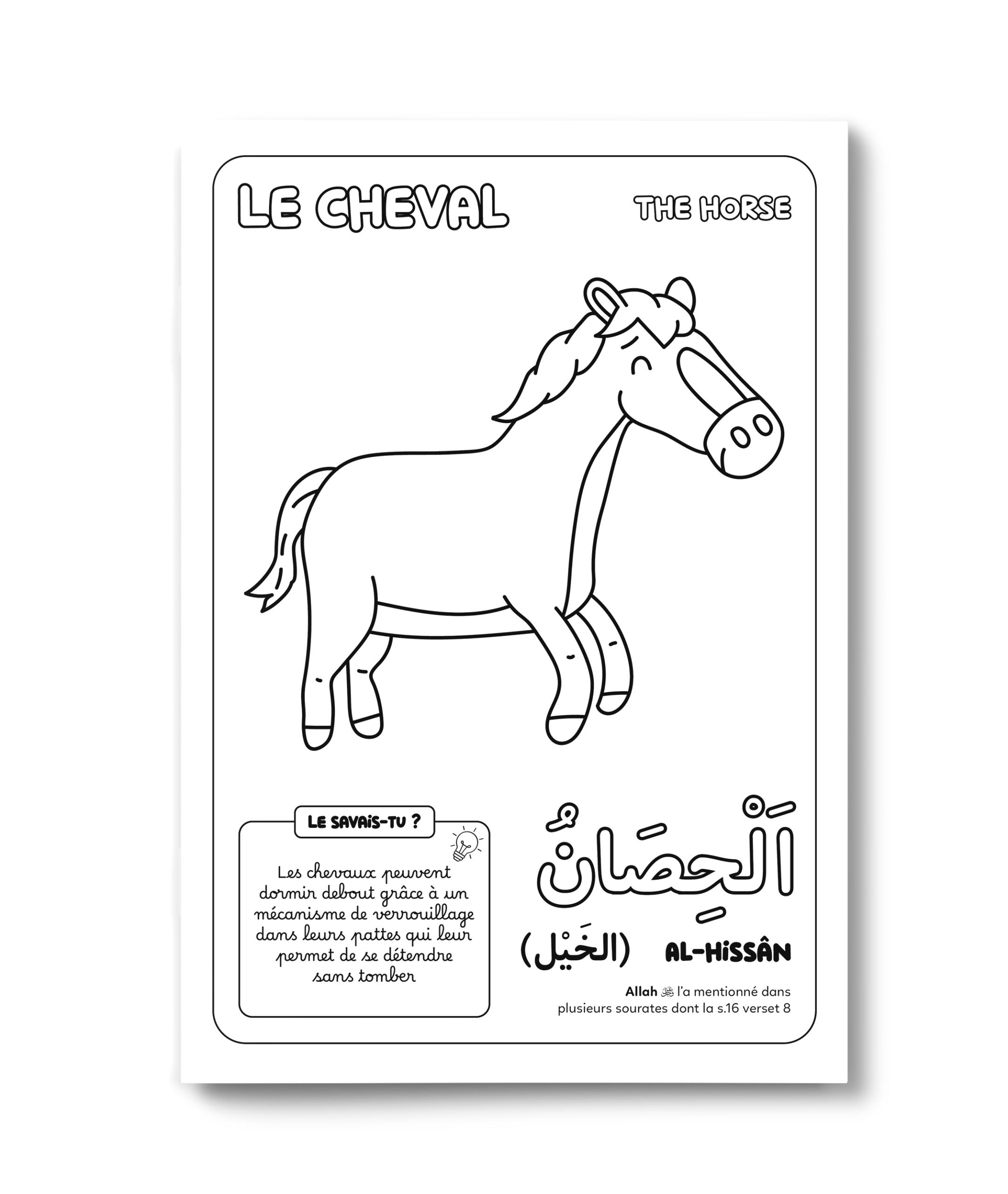 Colorie et Apprends – Les 30 Animaux du Coran – Deenilearn