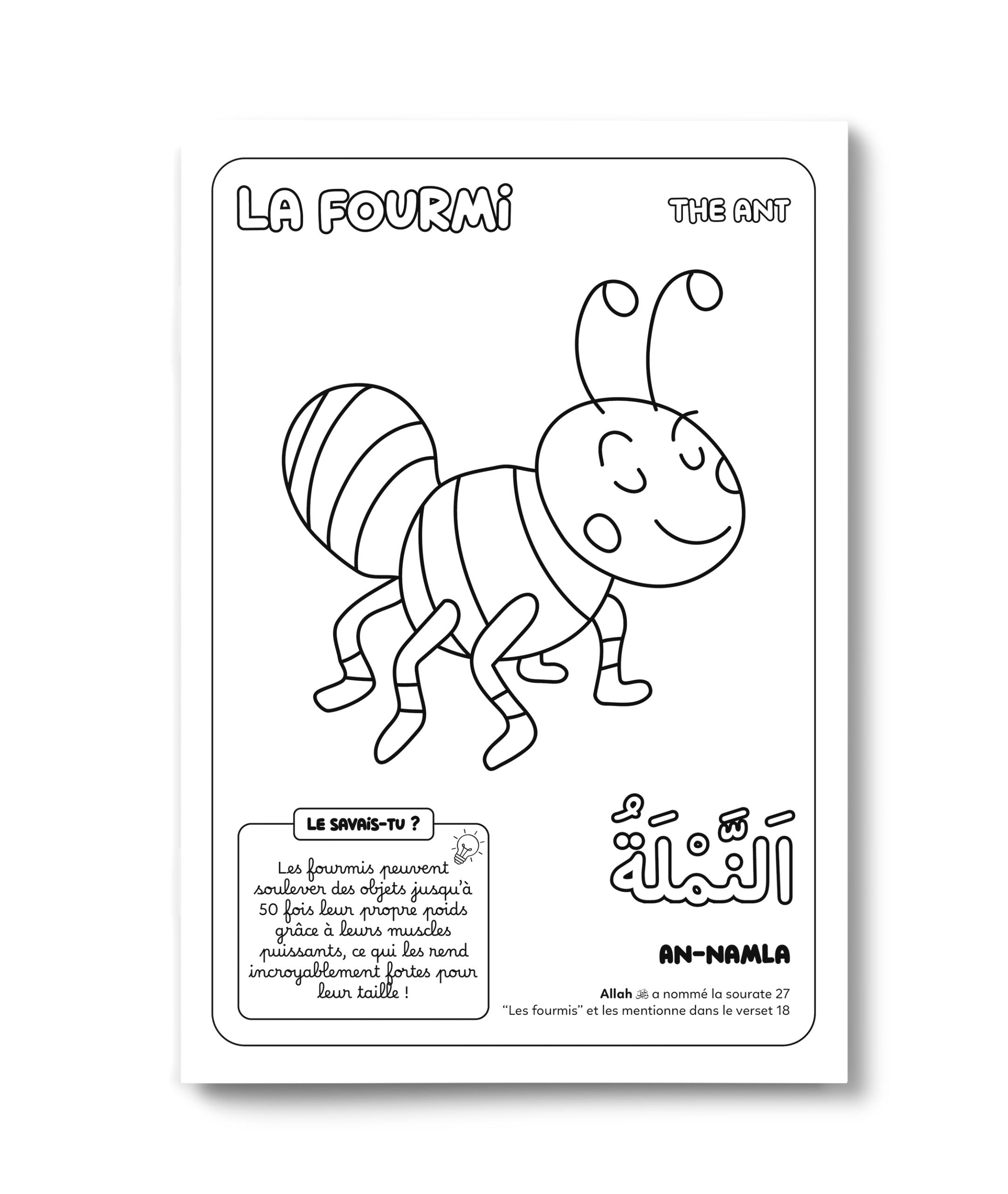 Colorie et Apprends – Les 30 Animaux du Coran – Deenilearn