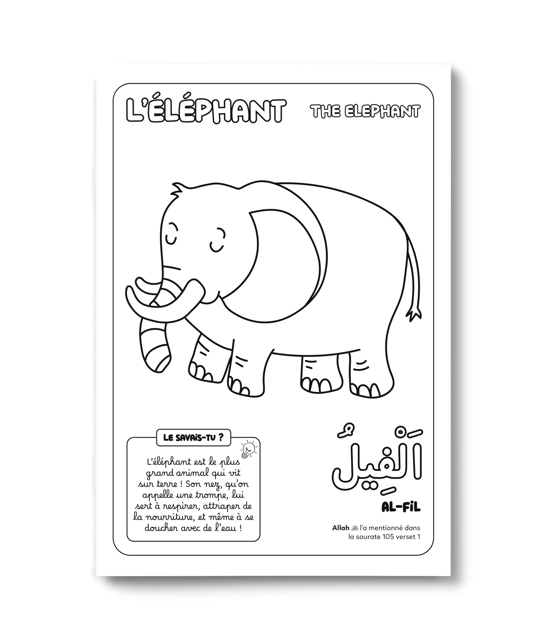 Colorie et Apprends – Les 30 Animaux du Coran – Deenilearn