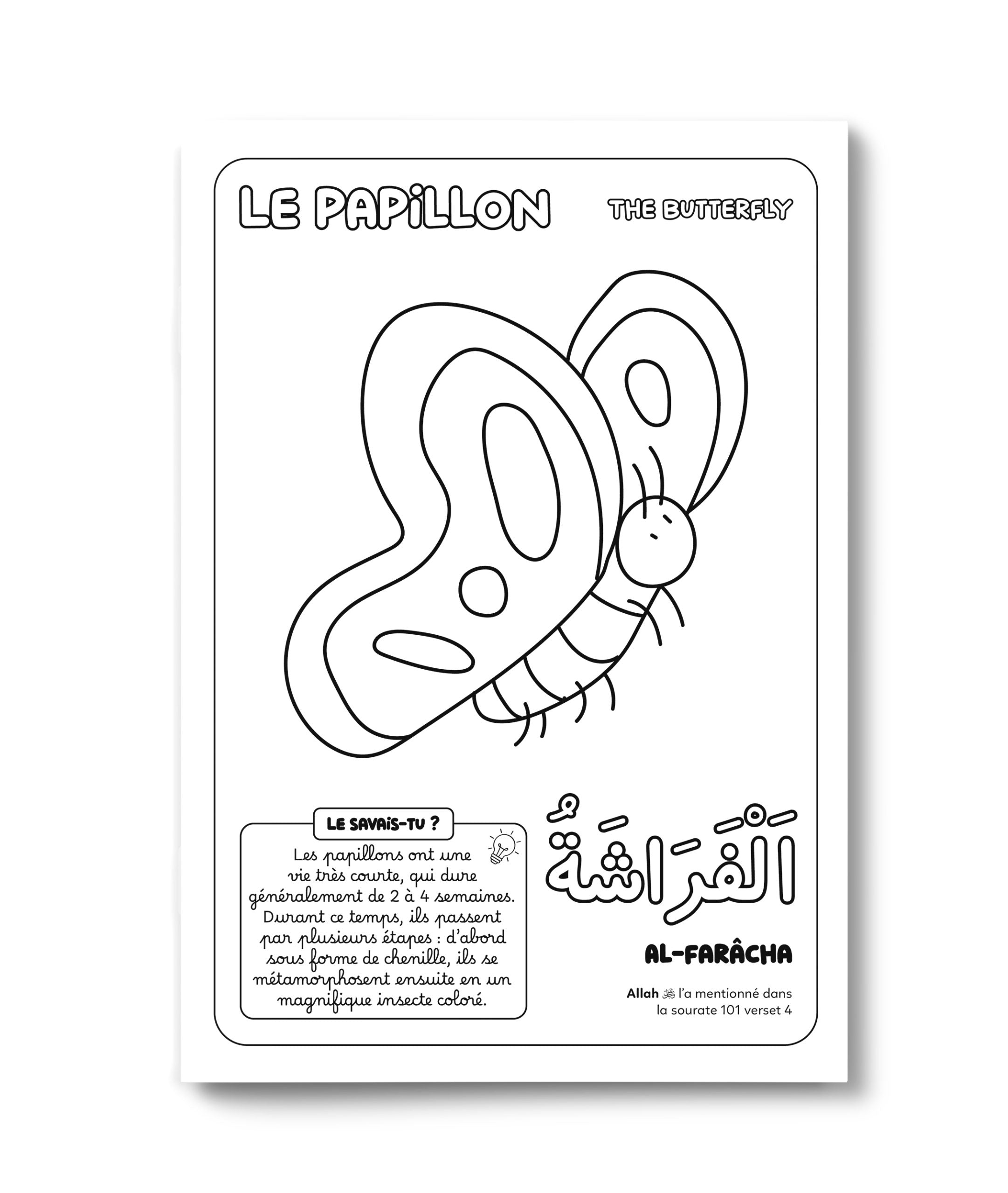 Colorie et Apprends – Les 30 Animaux du Coran – Deenilearn