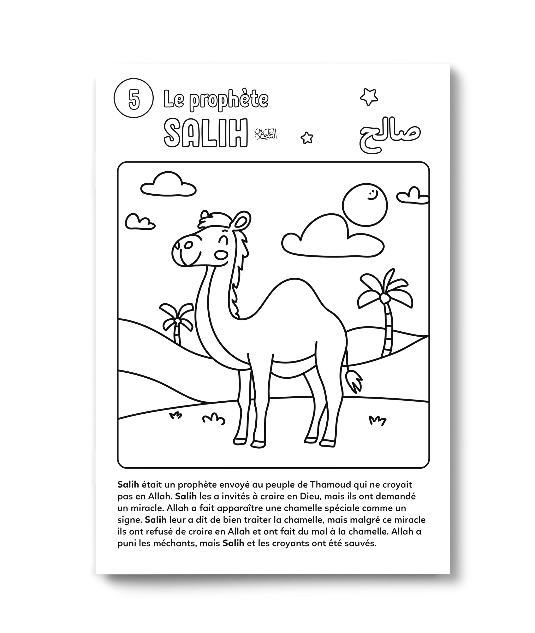 Colorie Et Apprends – Les 25 Prophètes – Deenilearn